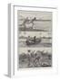 Tarpon-Fishing in a Florida River-Richard Caton Woodville II-Framed Giclee Print