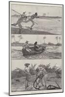 Tarpon-Fishing in a Florida River-Richard Caton Woodville II-Mounted Giclee Print