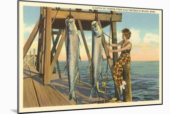 Tarpon on Dock, Biloxi, Mississippi-null-Mounted Art Print