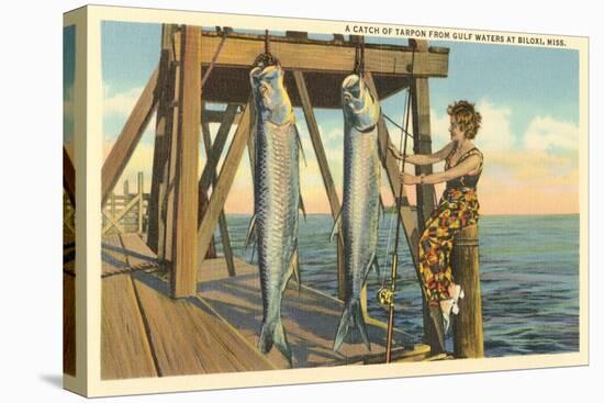 Tarpon on Dock, Biloxi, Mississippi-null-Stretched Canvas