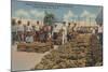 Tarpon Springs, FL - Scene of Sponge Exchange-Lantern Press-Mounted Art Print