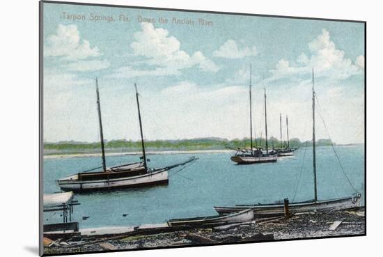 Tarpon Springs, Florida - Anclote River Scene-Lantern Press-Mounted Art Print
