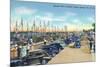 Tarpon Springs, Florida - Sponge Fleet in Harbor-Lantern Press-Mounted Art Print