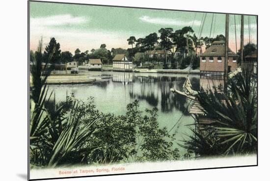 Tarpon Springs, Florida - View from the Water-Lantern Press-Mounted Art Print