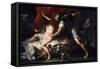 Tarquinius and Lucretia-Luca Giordano-Framed Stretched Canvas