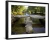 Tarr Steps a Prehistoric Clapper Bridge across the River Barle in Exmoor National Park, England-Mark Hannaford-Framed Photographic Print