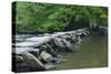 Tarr Steps, Medieval Clapper Bridge Crossing the River Barle, Exmoor National Park, Somerset, UK-Ross Hoddinott-Stretched Canvas