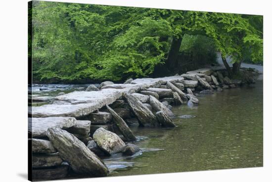 Tarr Steps, Medieval Clapper Bridge Crossing the River Barle, Exmoor National Park, Somerset, UK-Ross Hoddinott-Stretched Canvas