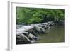 Tarr Steps, Medieval Clapper Bridge Crossing the River Barle, Exmoor National Park, Somerset, UK-Ross Hoddinott-Framed Photographic Print