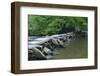 Tarr Steps, Medieval Clapper Bridge Crossing the River Barle, Exmoor National Park, Somerset, UK-Ross Hoddinott-Framed Photographic Print