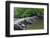 Tarr Steps, Medieval Clapper Bridge Crossing the River Barle, Exmoor National Park, Somerset, UK-Ross Hoddinott-Framed Photographic Print