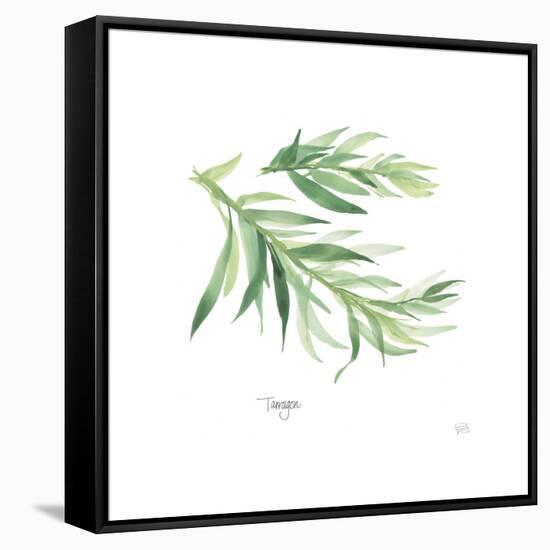 Tarragon V2-Chris Paschke-Framed Stretched Canvas