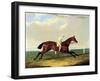 'tarrare' Ridden by George Nelson-John Frederick Herring I-Framed Giclee Print