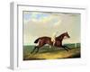 'tarrare' Ridden by George Nelson-John Frederick Herring I-Framed Giclee Print