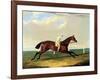 'tarrare' Ridden by George Nelson-John Frederick Herring I-Framed Giclee Print