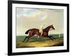 'tarrare' Ridden by George Nelson-John Frederick Herring I-Framed Giclee Print