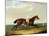 'tarrare' Ridden by George Nelson-John Frederick Herring I-Mounted Giclee Print