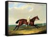 'tarrare' Ridden by George Nelson-John Frederick Herring I-Framed Stretched Canvas