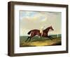 'tarrare' Ridden by George Nelson-John Frederick Herring I-Framed Premium Giclee Print