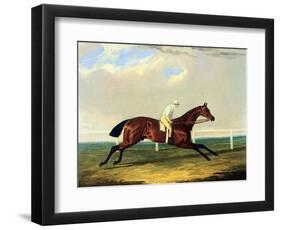 'tarrare' Ridden by George Nelson-John Frederick Herring I-Framed Premium Giclee Print