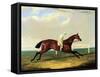 'tarrare' Ridden by George Nelson-John Frederick Herring I-Framed Stretched Canvas
