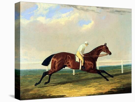 'tarrare' Ridden by George Nelson-John Frederick Herring I-Stretched Canvas