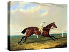'tarrare' Ridden by George Nelson-John Frederick Herring I-Stretched Canvas