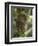 Tarsier Fraterculus, the Smallest Living Primate, Tarsier Sanctuary, Philippines-null-Framed Premium Photographic Print