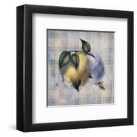 Tartan Fruit, Lemon-Alma Lee-Framed Art Print