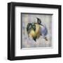 Tartan Fruit, Lemon-Alma Lee-Framed Art Print