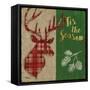 Tartan Holiday Lodge I-Paul Brent-Framed Stretched Canvas