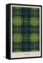 Tartan of Clan Campbell-null-Framed Stretched Canvas
