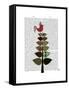 Tartan Tree Illustration-Fab Funky-Framed Stretched Canvas