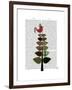 Tartan Tree Illustration-Fab Funky-Framed Art Print