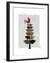 Tartan Tree Illustration-Fab Funky-Framed Art Print