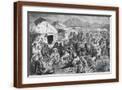 Brown Frame