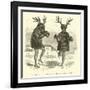 Taruca and Tarucacha, Deer and Buck-Édouard Riou-Framed Giclee Print