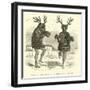 Taruca and Tarucacha, Deer and Buck-Édouard Riou-Framed Giclee Print