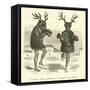 Taruca and Tarucacha, Deer and Buck-Édouard Riou-Framed Stretched Canvas