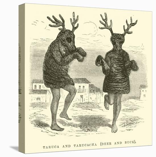 Taruca and Tarucacha, Deer and Buck-Édouard Riou-Stretched Canvas