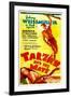 TARZAN AND HIS MATE, top: Johnny Weissmuller, bottom: Maureen O'Sullivan, 1934.-null-Framed Art Print