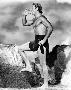 Laminate