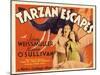 Tarzan Escapes, 1936-null-Mounted Art Print