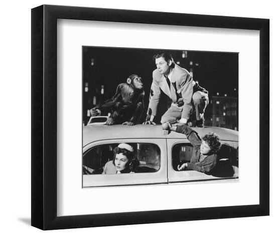 Photo, , large