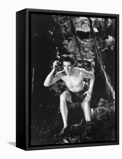 Tarzan's Revenge-null-Framed Stretched Canvas