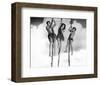 Tarzan's Secret Treasure-null-Framed Photo