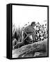 Tarzan the Ape Man-null-Framed Stretched Canvas
