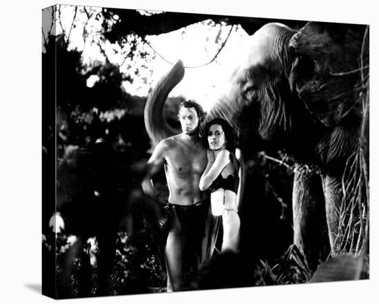 Tarzan the Ape Man-null-Stretched Canvas