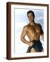 Brown Frame