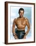 Brown Frame